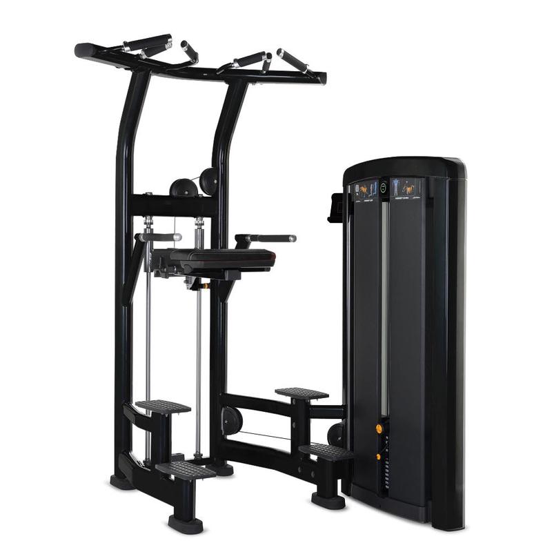 Insignia Series Assist Dip Chin