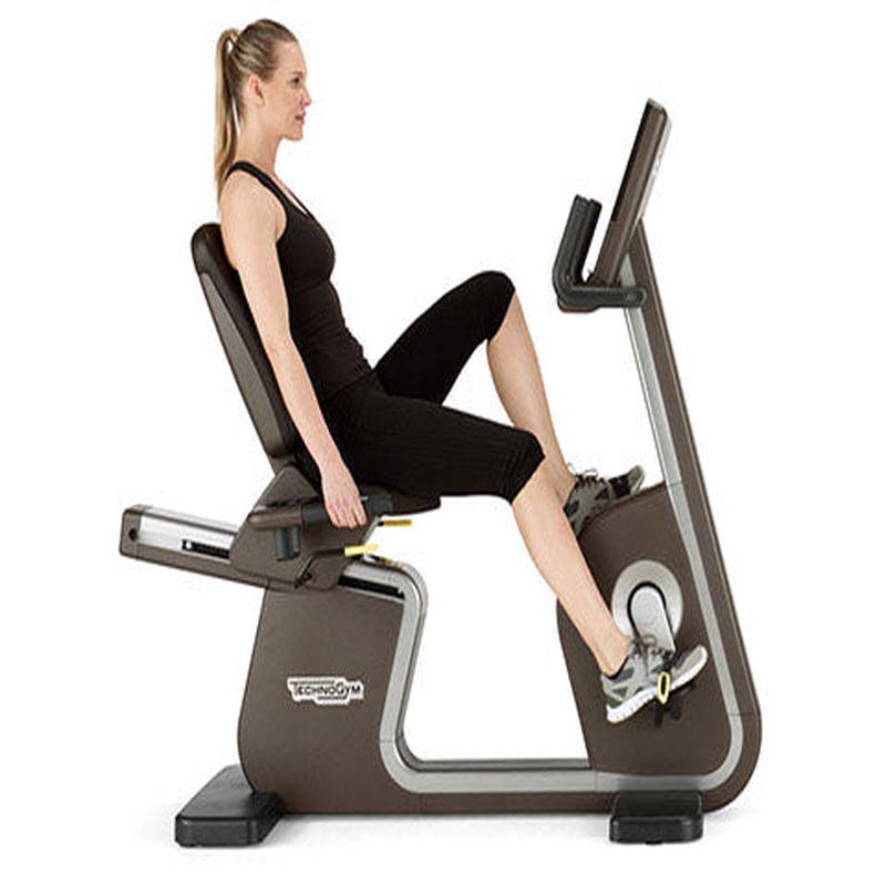 Used Technogym ARTIS Recumbent Bike with Unity Display