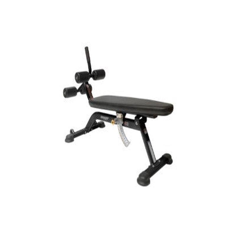 Hoist Fitness HF5264 Adjustable Ab Bench
