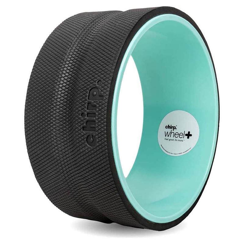 10 Inch Firm Wheel Plus